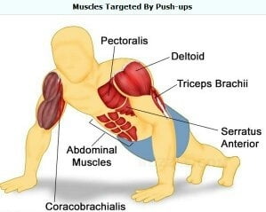 The advantages of pushups
