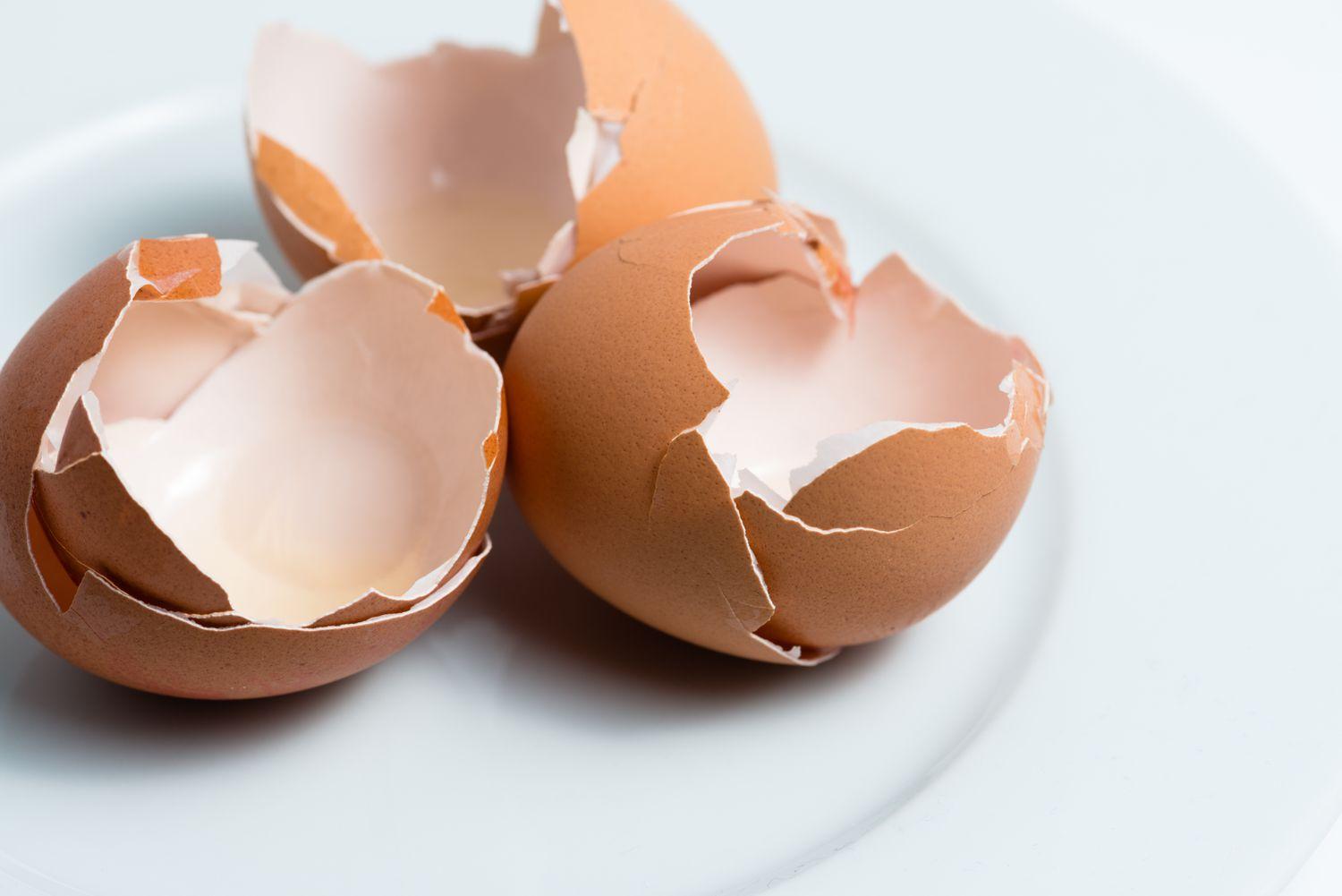 Transforming Eggshells into Calcium Pills: A Sustainable Solution for Waste Reduction